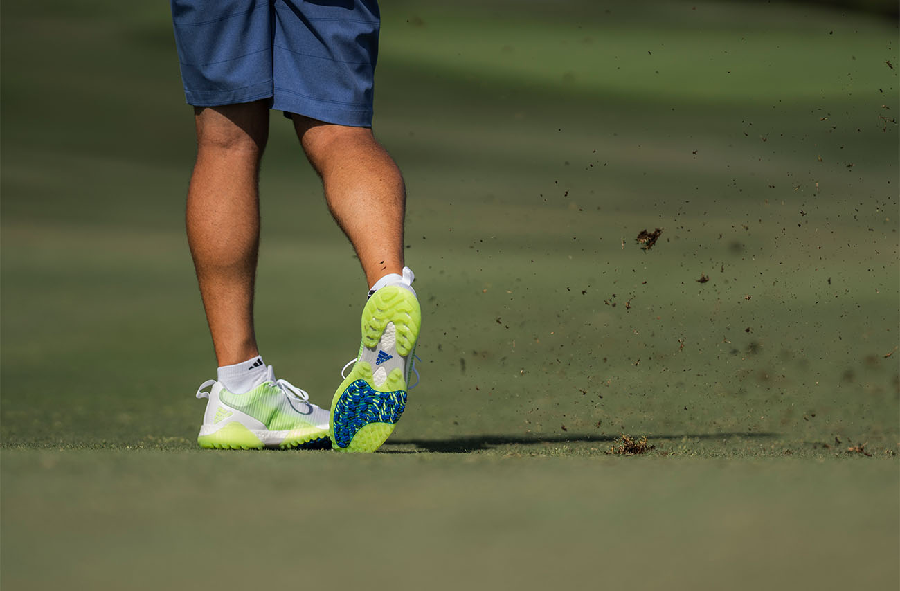 SEO-Spike-vs-Spikeless-Body-Image-4 SEO-Spike-vs-Spikeless-Body-Image-4