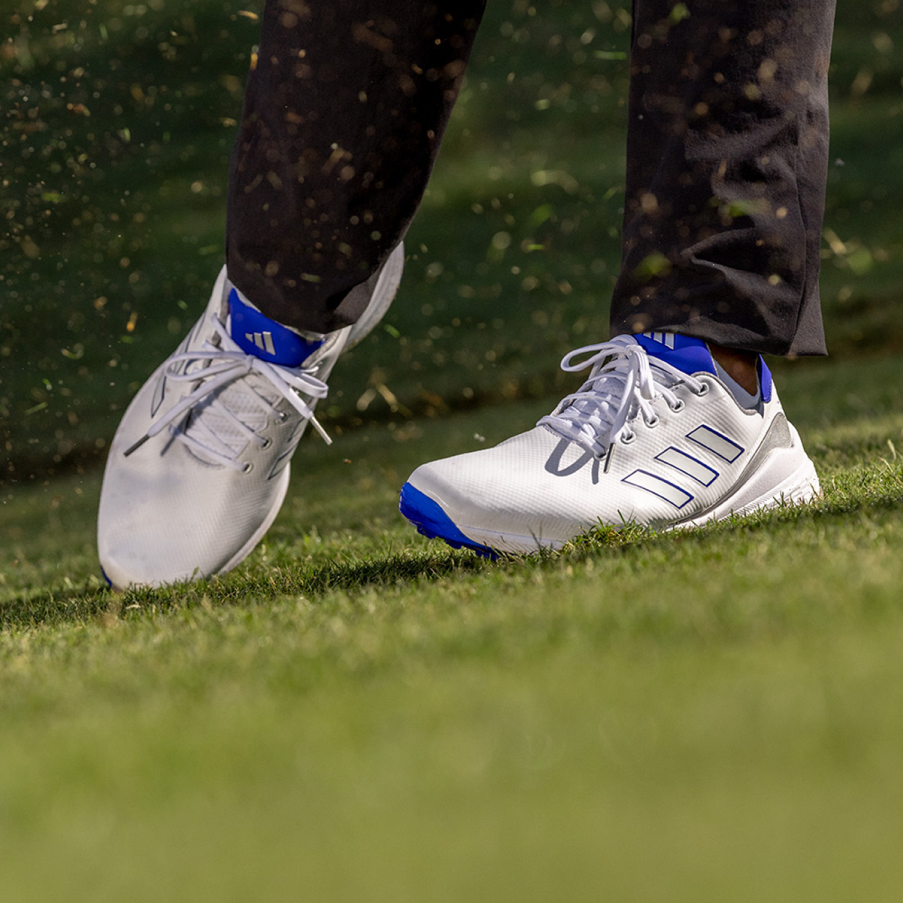 The Best adidas Waterproof Golf Shoes