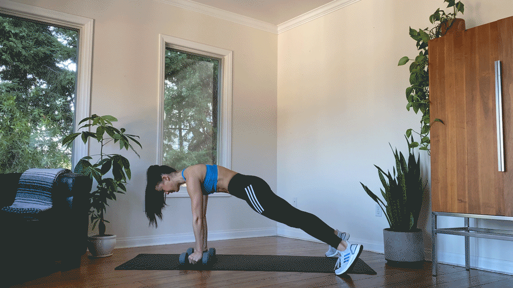 Plank-with-One-Arm-Row
