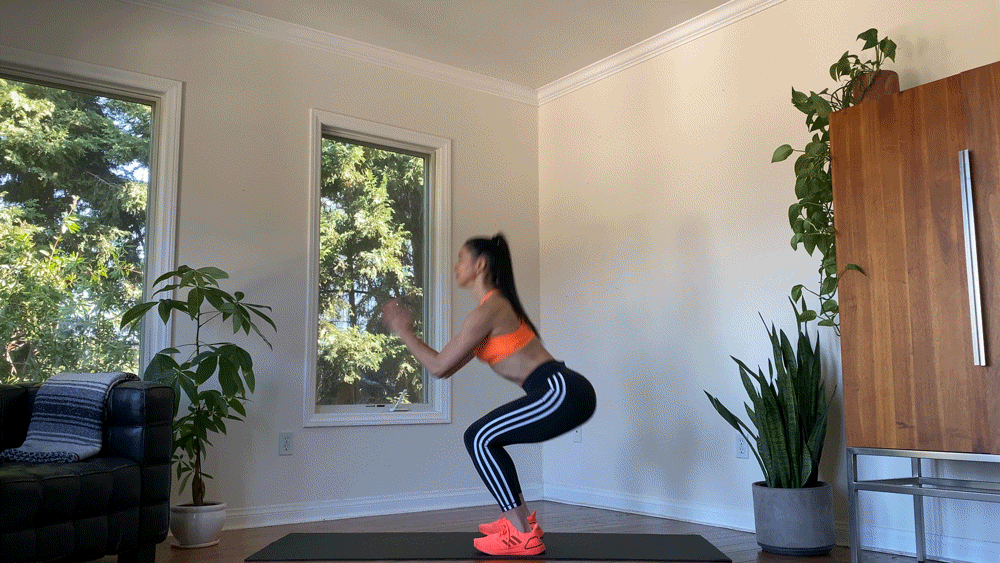 Jumpsquats