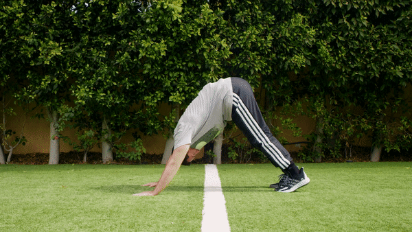 SEO-Basketball-Stretches-Body-gif-10