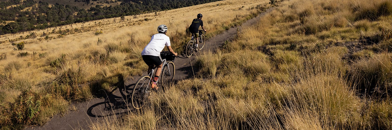 Mountain bike beginners online guide