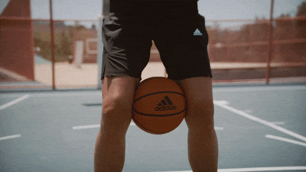 WNBA-BASKETBALL-STRENGTH-Body-Image-5 WNBA-BASKETBALL-STRENGTH-Body-Image-5