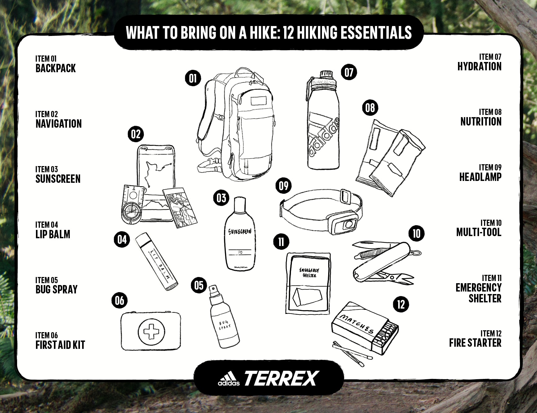 Hiking Essentials: What to Wear & Bring on a Hike