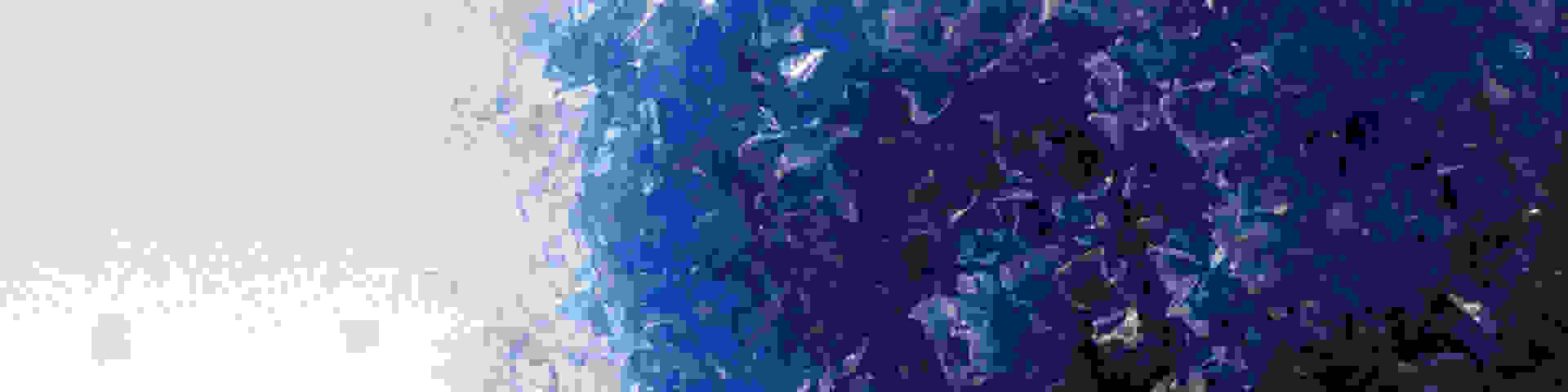 An image of blue microplastics
