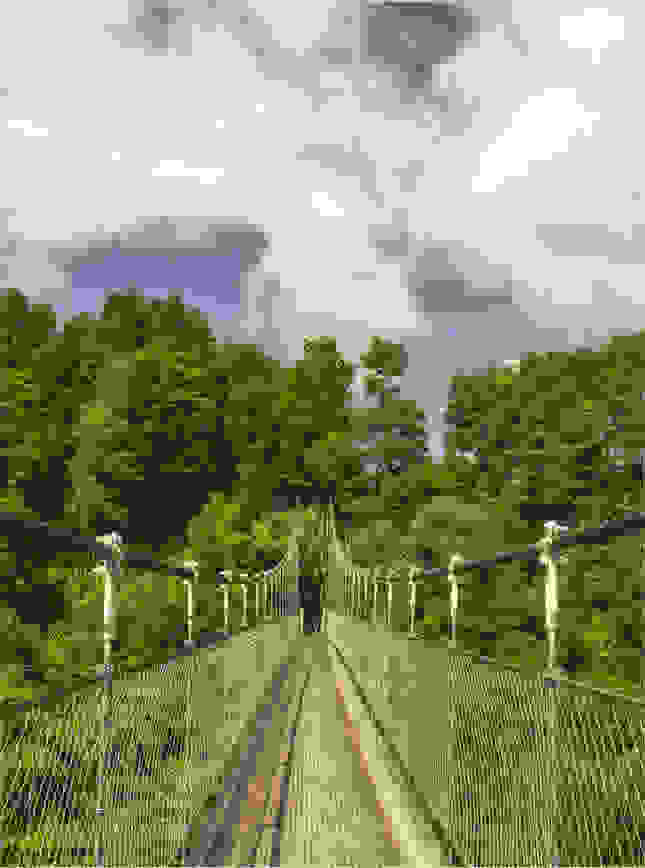 Visual of a bridge in the nature