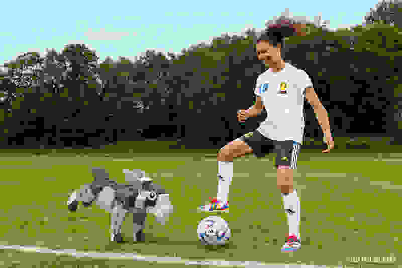 Boy playing football with a goat
