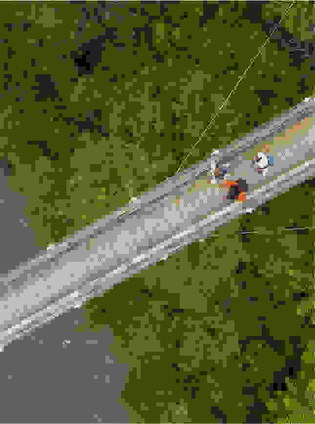 Visual of a bridge in the nature