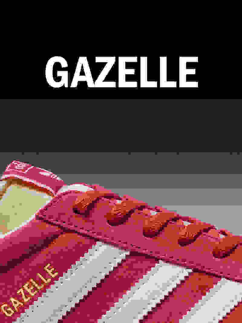 A close-up crop of the adidas Originals Gazelle shoe is shown.