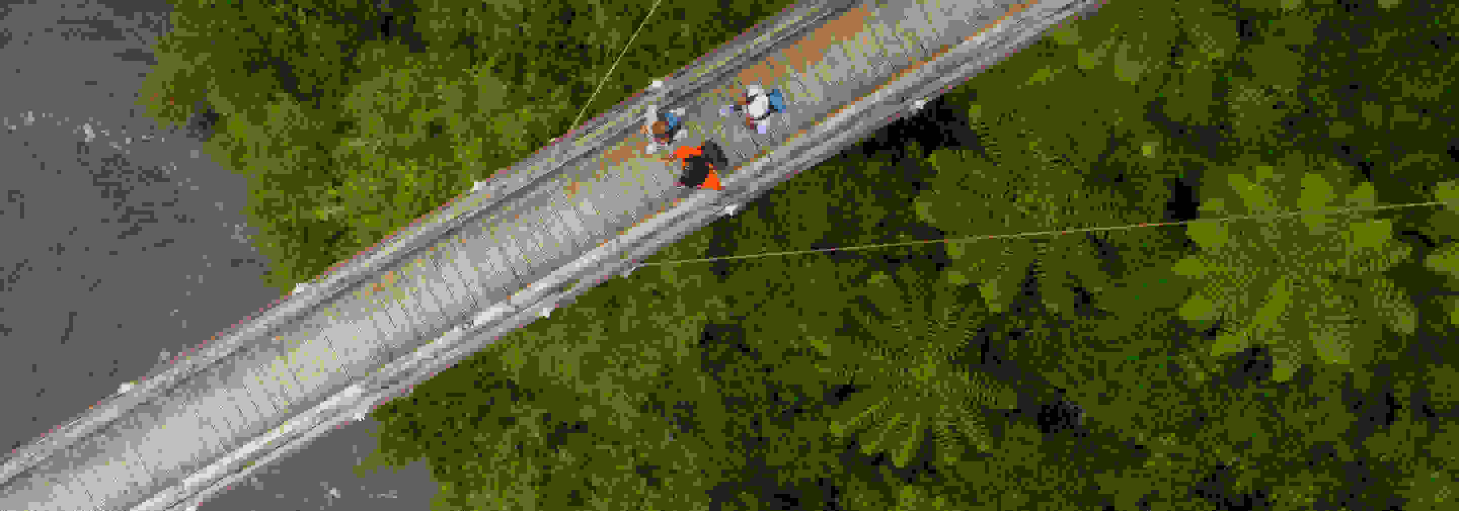 A top down drone shot of a group of people on a bridge in the middle of a forest