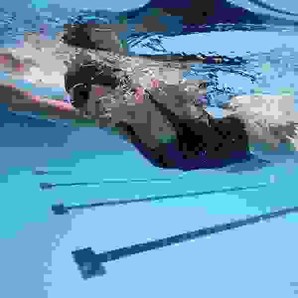 Swimming Performance 2024 Fall Winter image