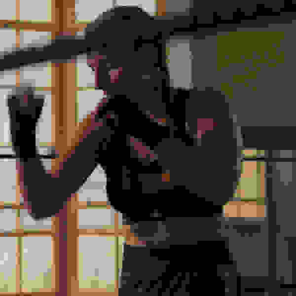 Reebok Performance 2024 Fall Winter Boxing image