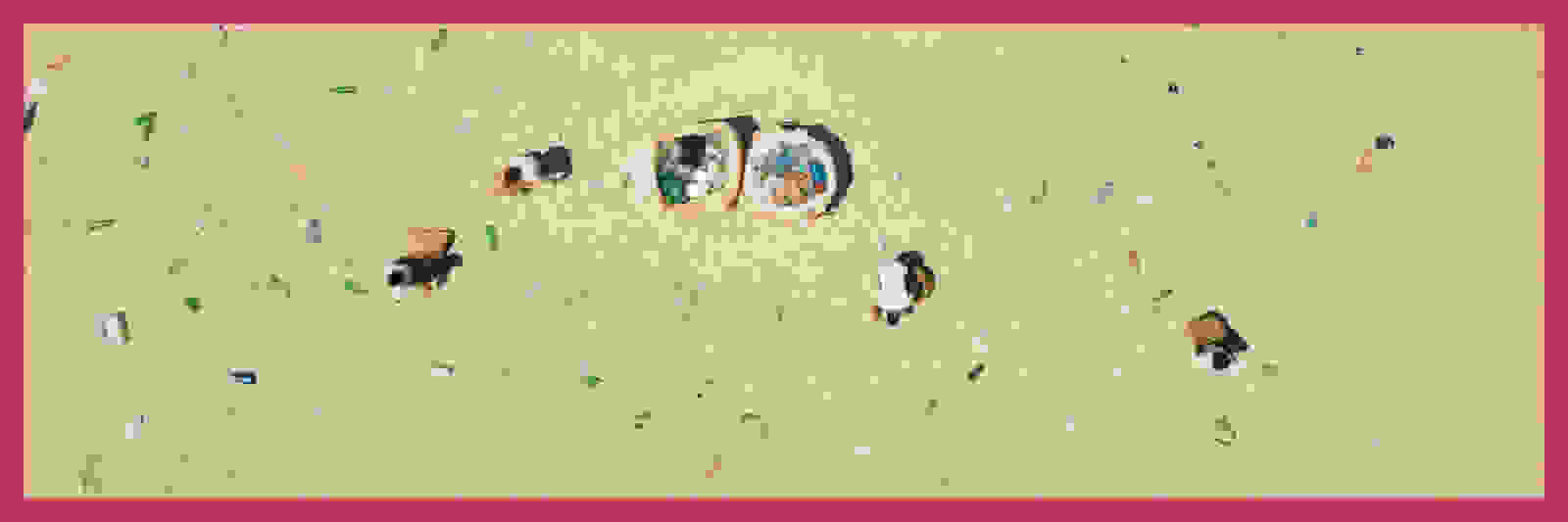 Obraz przedstawia teksturowaną, beżową powierzchnię z rozmaitymi małymi, kolorowymi obiektami, tworząc abstrakcyjną i interesującą wizualnie kompozycję.