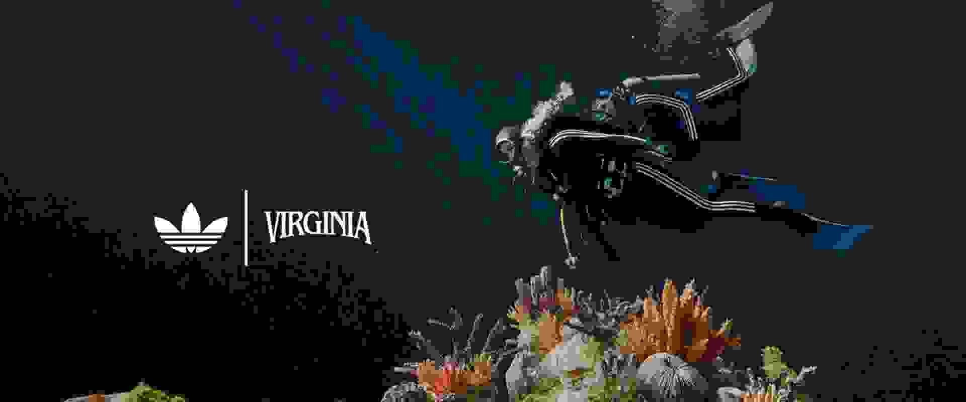 A scuba diver exploring a vibrant underwater coral reef scene, with the Adidas Virginia logo prominently displayed in the foreground.