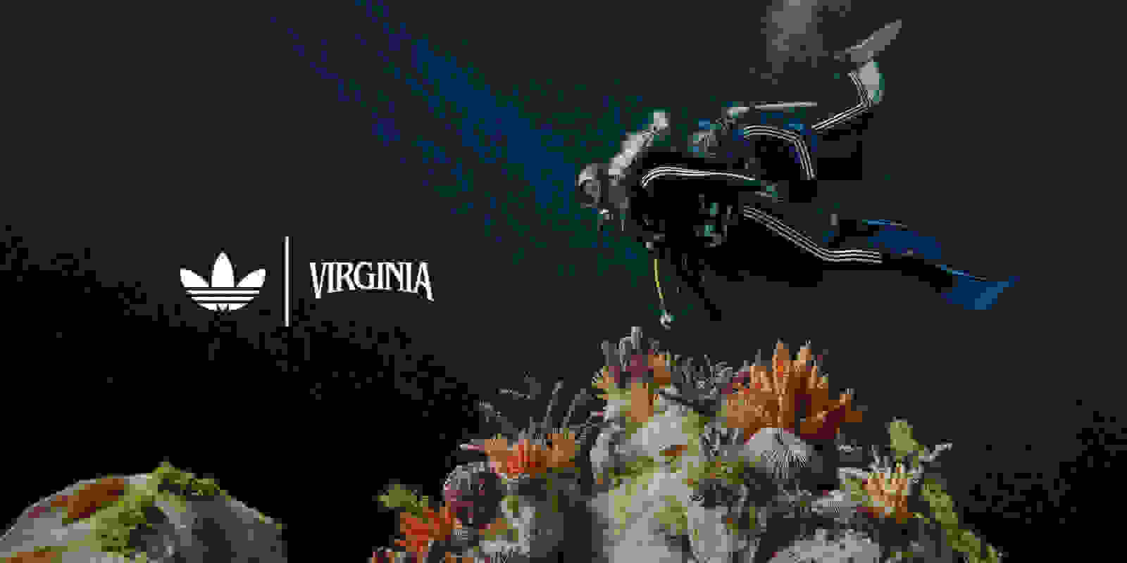A scuba diver exploring a vibrant underwater coral reef scene, with the Adidas Virginia logo prominently displayed in the background.