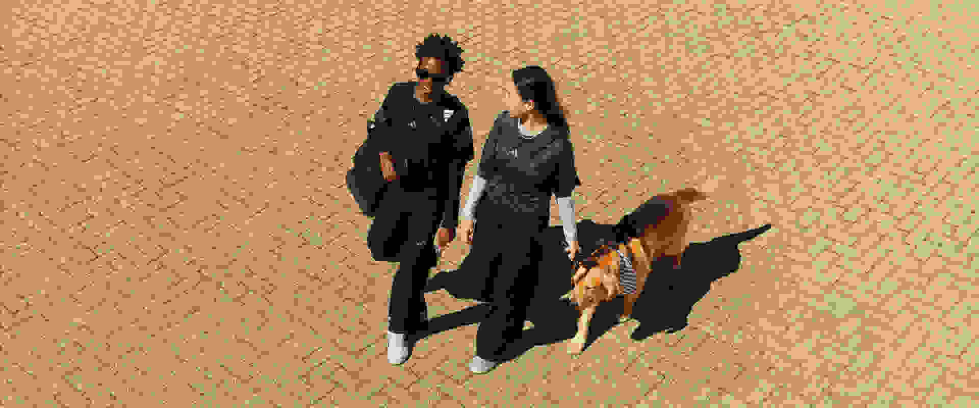 Hai cá nhân mặc trang phục toàn màu đen đang đứng trên bề mặt hình khối, với một con chó nhìn thấy phía sau.