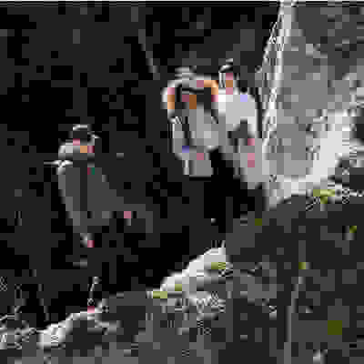 Trois personnes, deux femmes et un homme, randonnent sur un sentier rocailleux dans un environnement luxuriant et forestier.