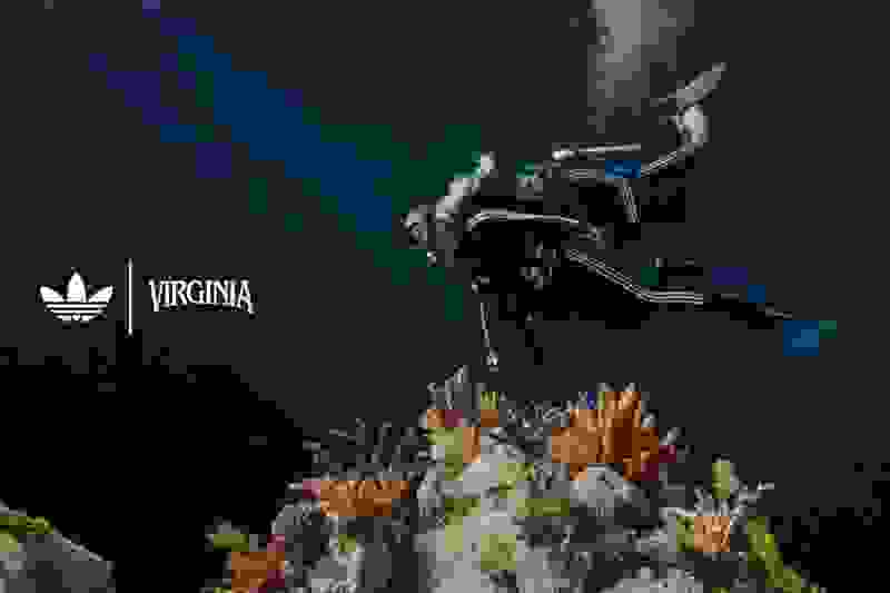 A scuba diver exploring a vibrant underwater coral reef scene, with the Virginia logo prominently displayed in the background.