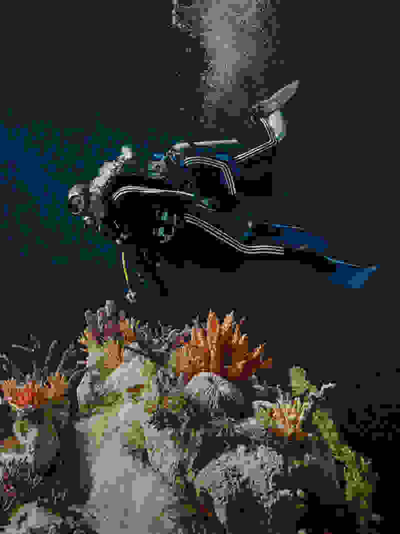 A scuba diver explores a vibrant underwater coral reef teeming with colorful marine life.