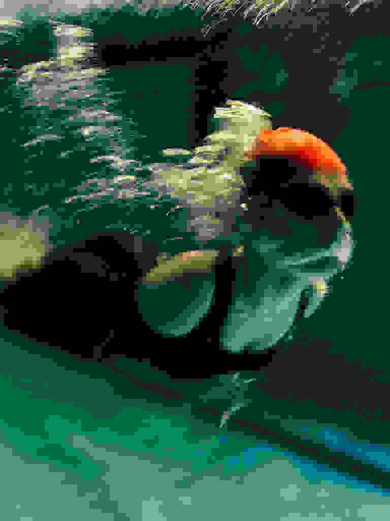 Paralympian Sümeyye Boyacı wearing an adidas swimsuit.