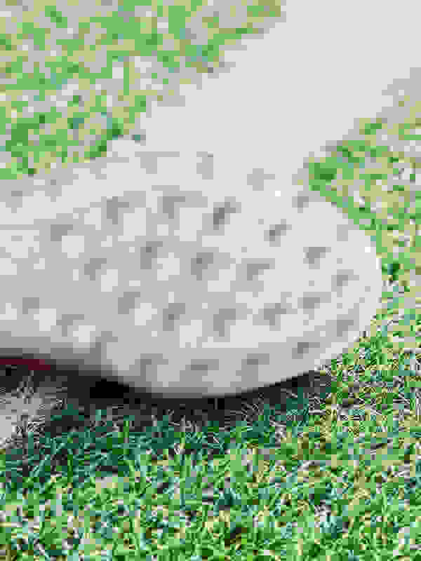 La suela de un calzado de fútbol adidas diseñado para jugar en el pasto sintético