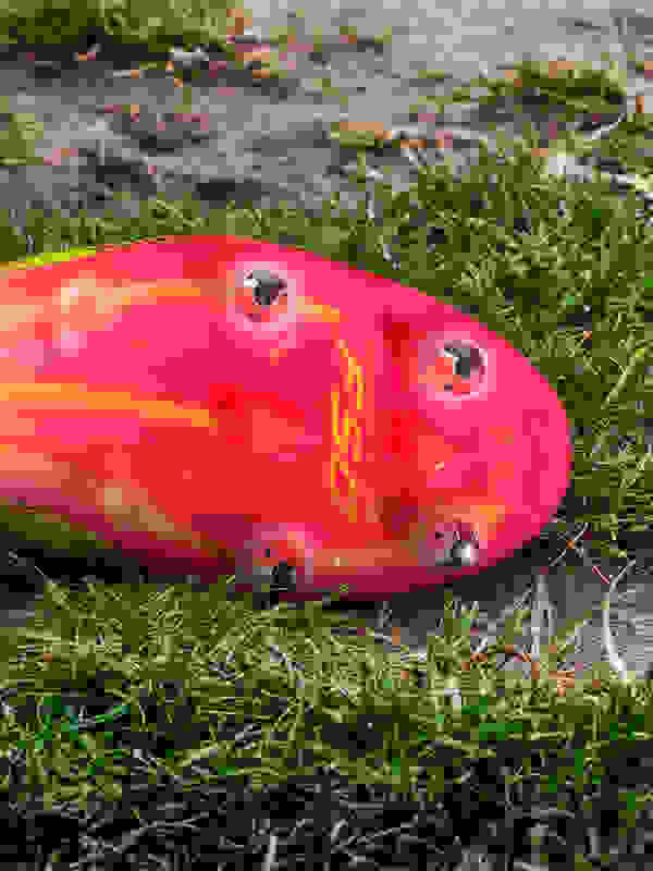 Adidas krampon modelinin dış tabanı, yumuşak zeminde kullanıma uygundur