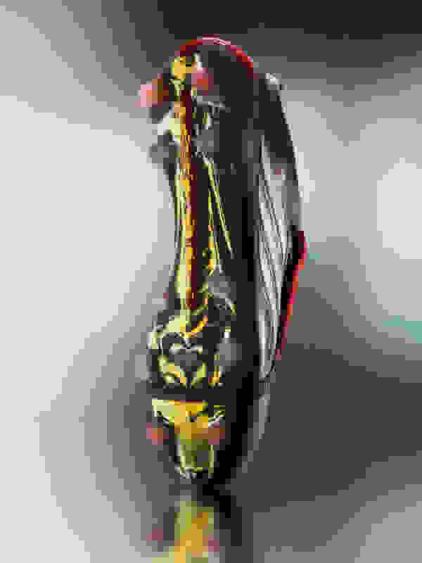 Primo piano di un insetto vivace e multicolore dall'aspetto sorprendente, sullo sfondo sfocato e tenue.