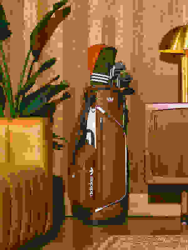 V příjemné místnosti s dřevěnými panely stojí retro golfová taška s různými kluby, kterou doplňuje květinový závod a retro lampa.