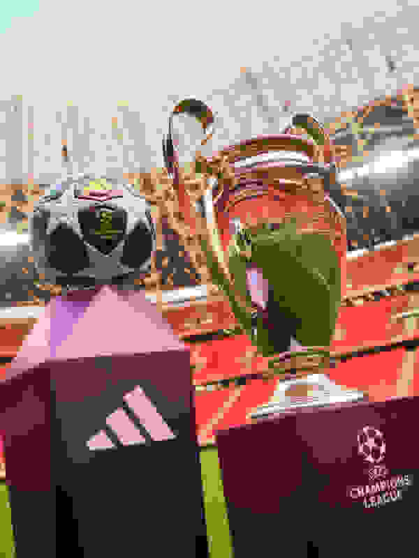 The image shows a UEFA Champions League trophy and a UEFA Champions League match ball on a football stadium field, with the stadium stands visible in the background.