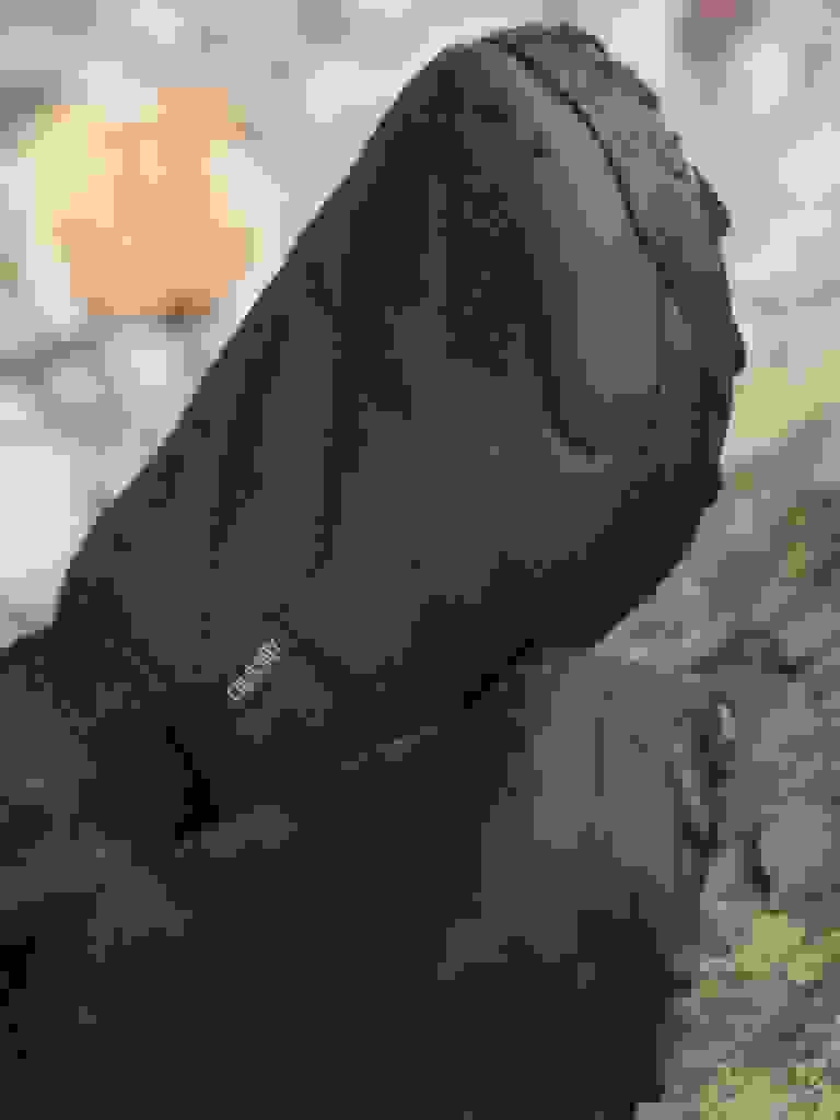 A close-up view of a pair of black, insulated gloves resting on a mossy, rocky surface.