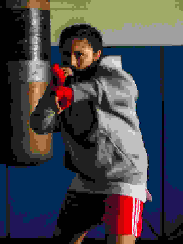 Boxer Meryland, wearing adidas.