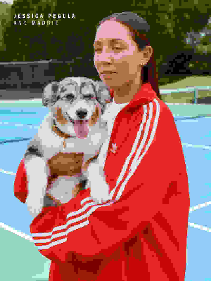 A young woman in a red Adidas tracksuit is holding a smiling Australian Shepherd dog on a tennis court.