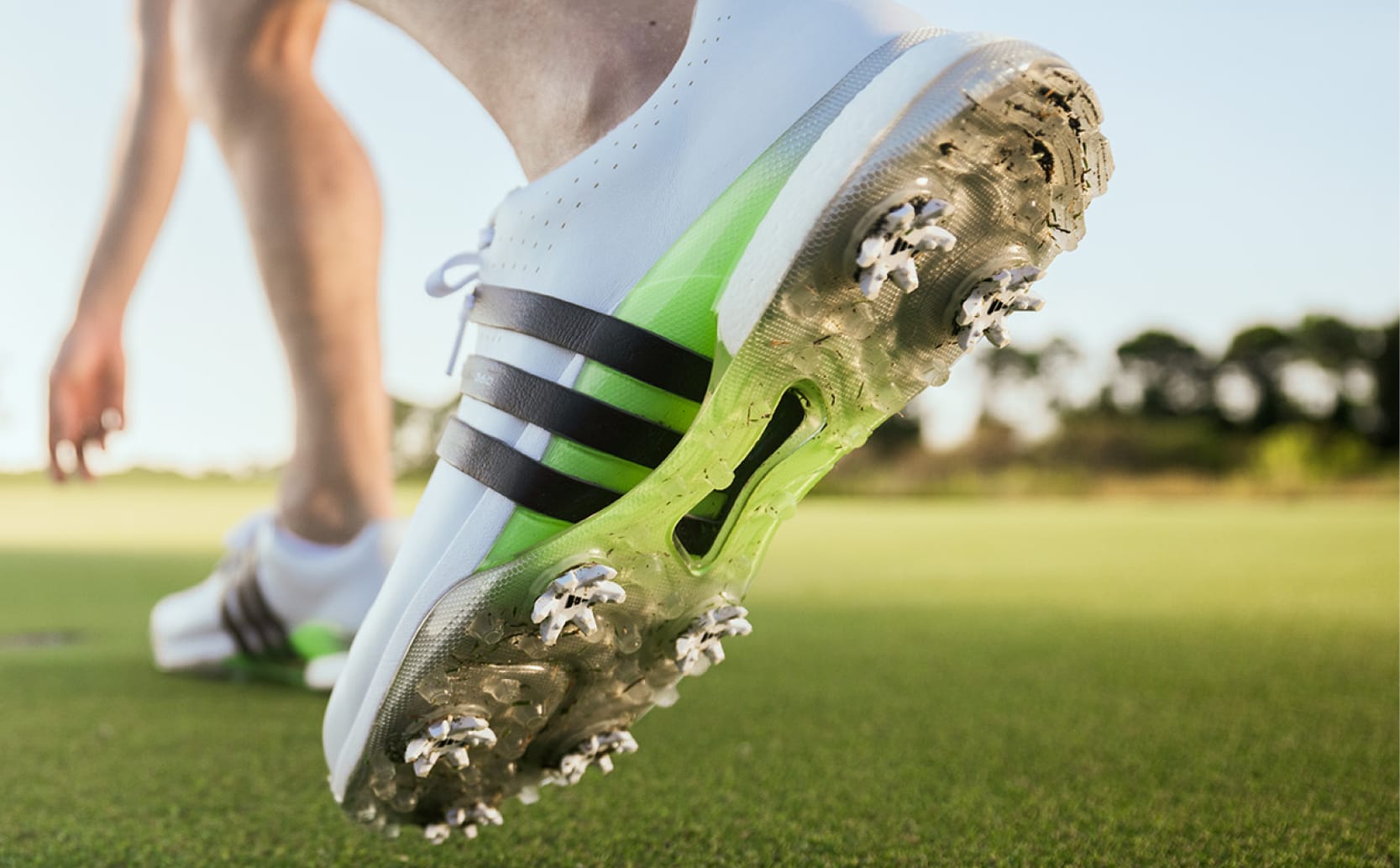 adidas Golf Shoes adidas NZ