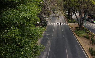 Two people cycling down a street with trees along the edge