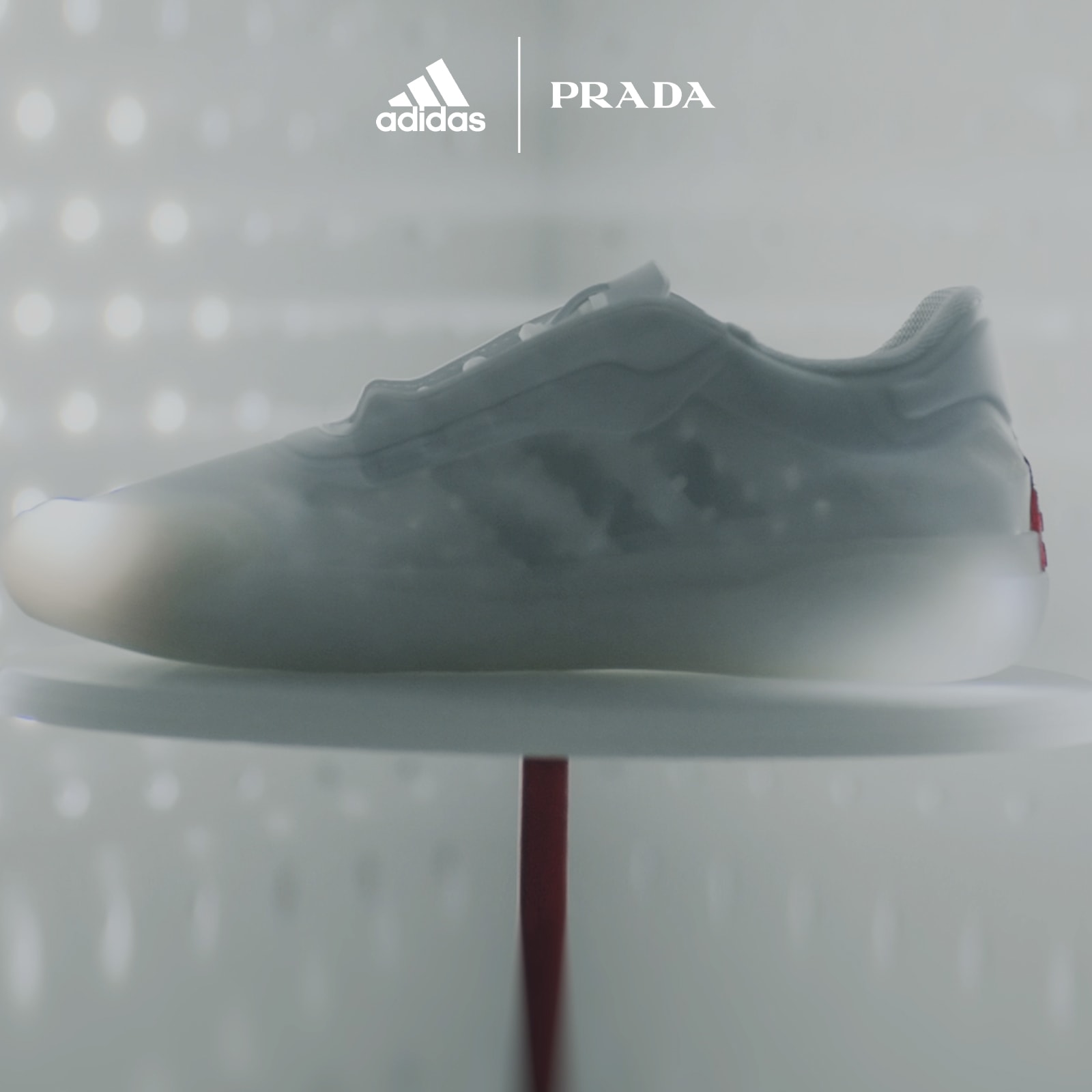 prada adidas australia