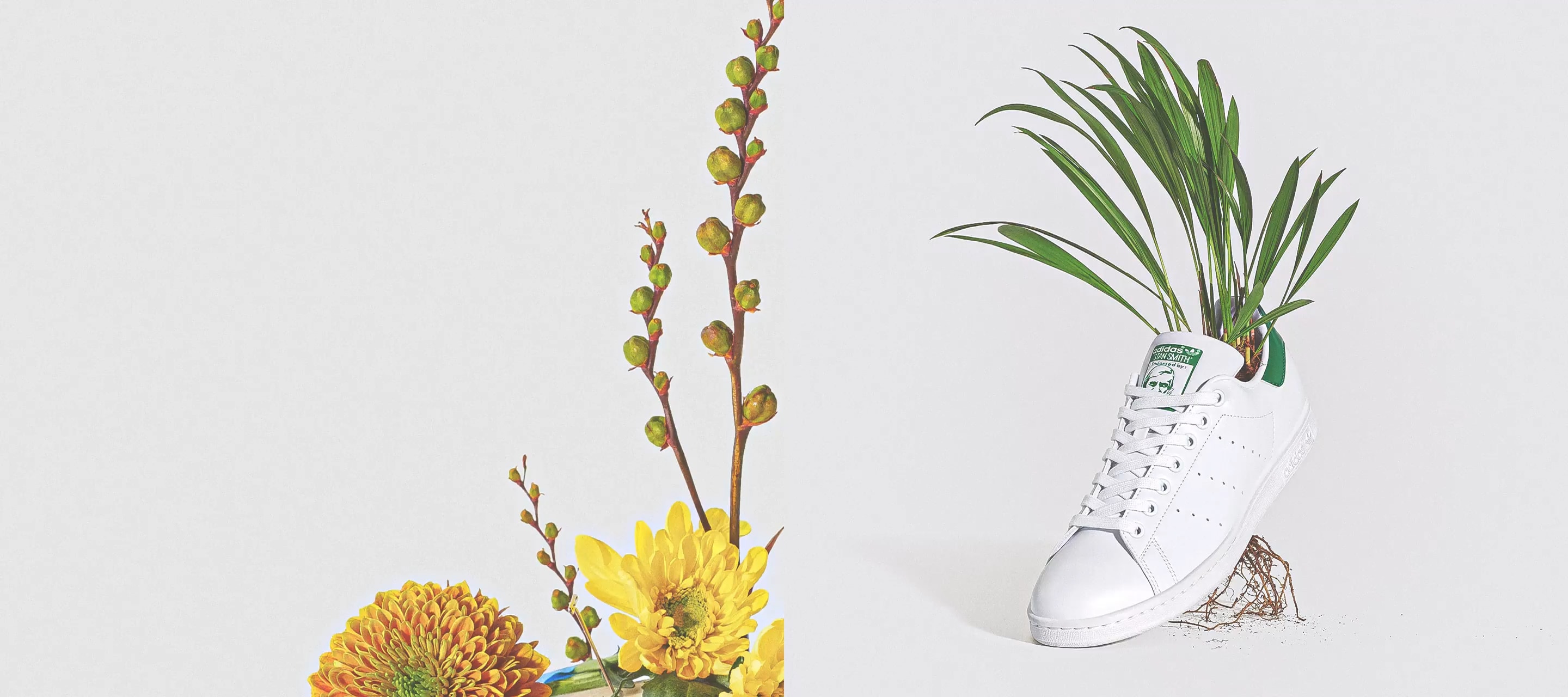 adidas originals aus