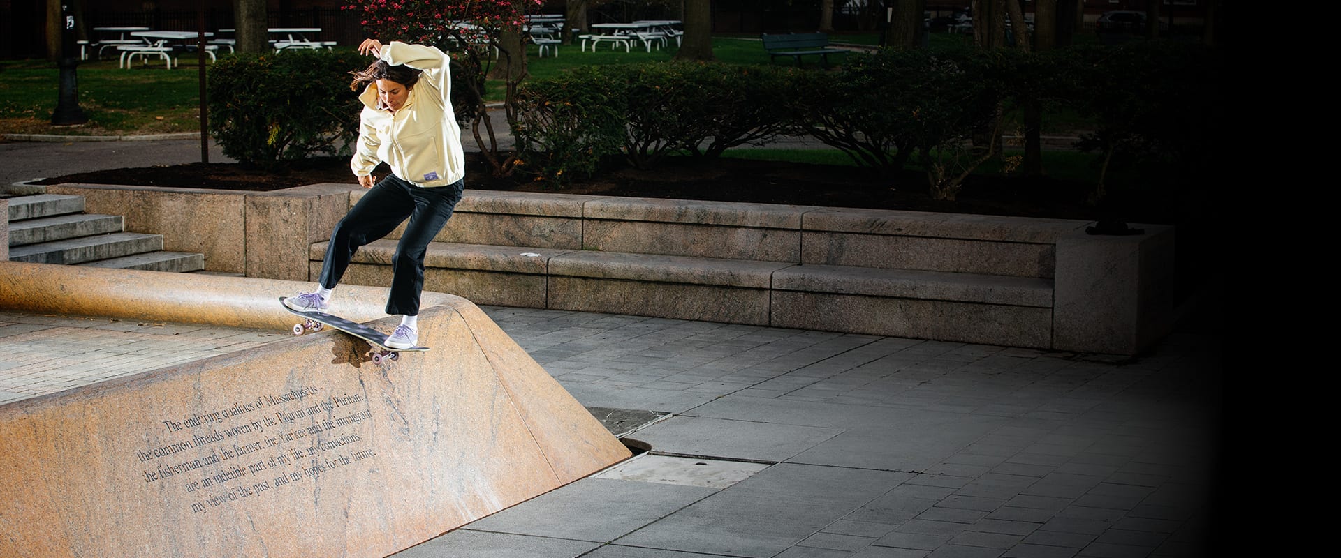 skateboarding pro skate shoes