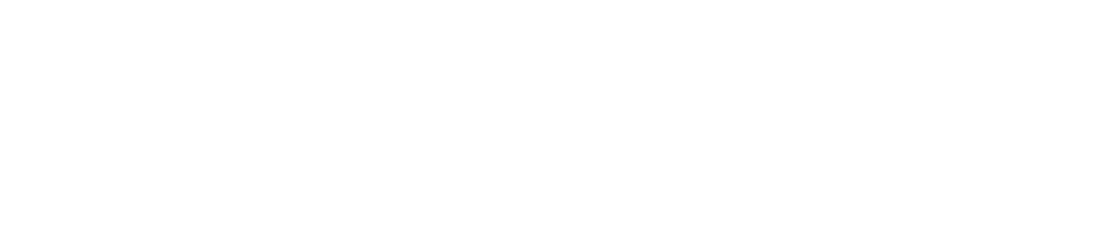 universal standard adidas