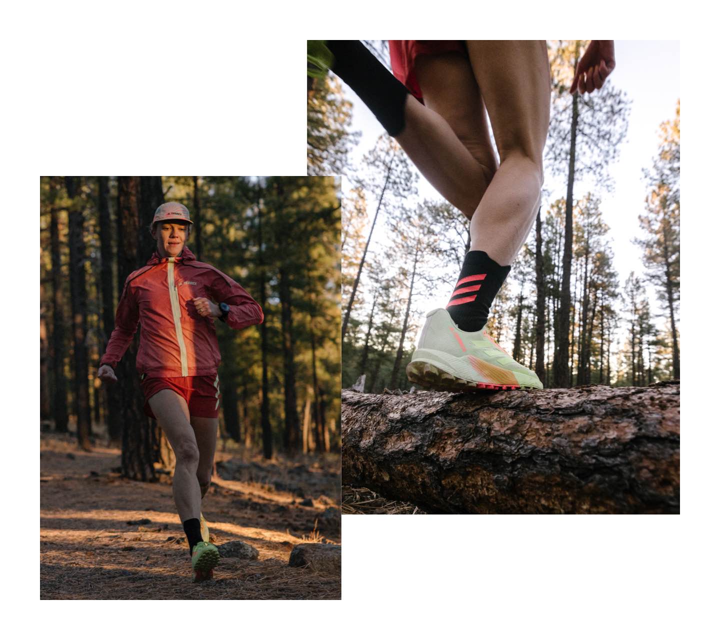 Terrex adidas performance terrex agravic Agravic Flow 2 Trail Running Shoes - Black | men trail