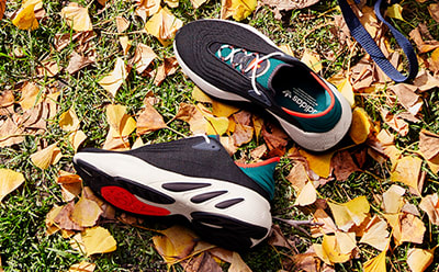 Shoes amongst Fall leaves.