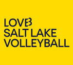 The image displays the text "LOVE SALT LAKE VOLLEYBALL" against a bright yellow background.