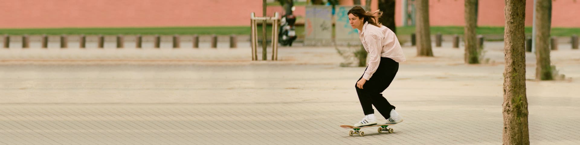 sed exposición Corea adidas Women's Skateboarding
