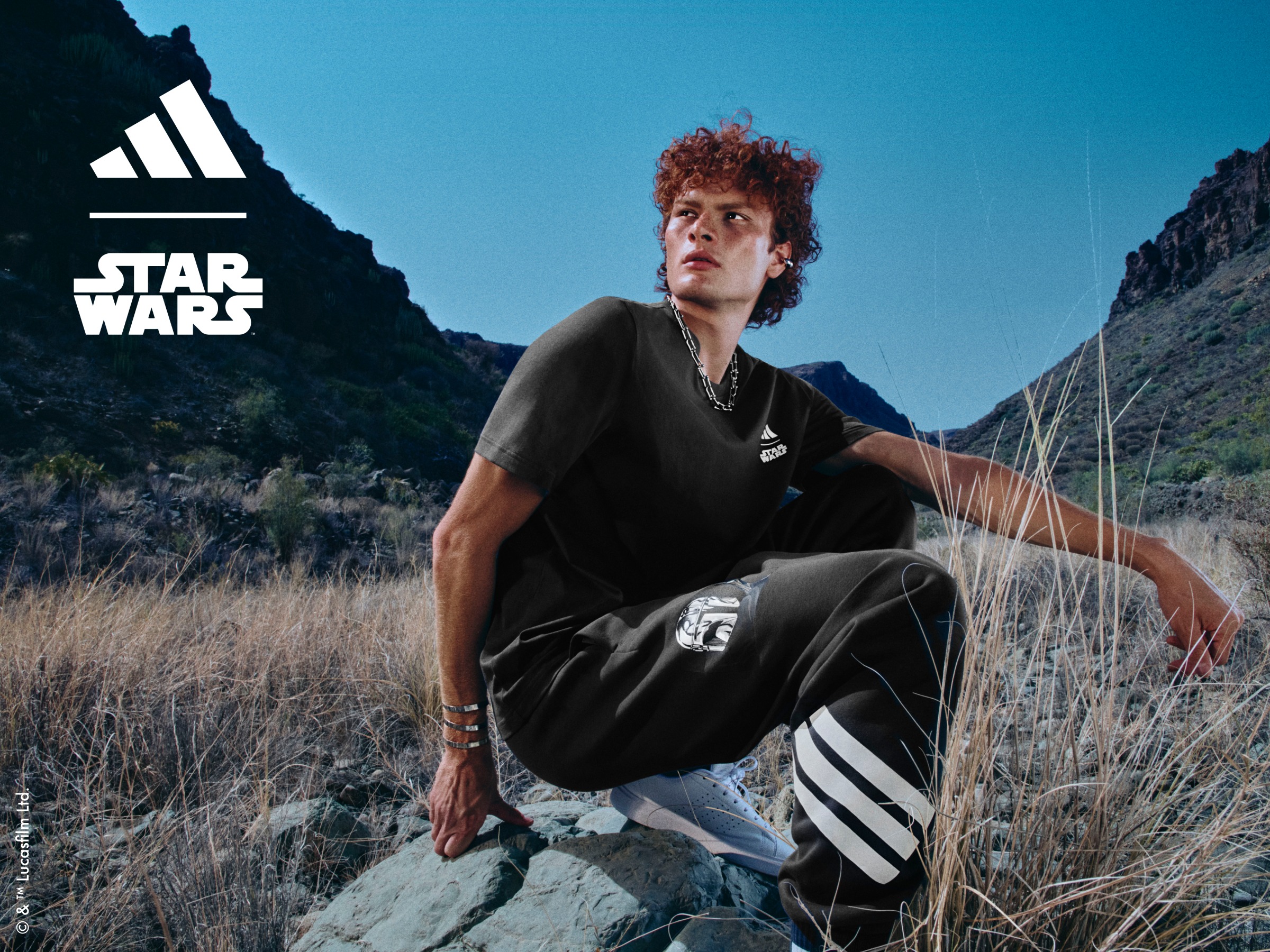 【希少】スターウォーズ　アディダスadidas スタジャン ネイビー/ホワイト 国内7月23日発売予定】スター ウォーズ × アディダス オリジナル
