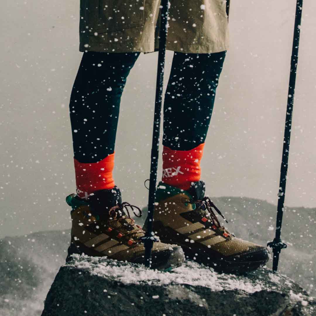 Chaussure de randonnée Terrex Skychaser AX5 Mid GORE-TEX