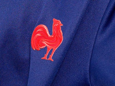 close up on the French rugby team logo