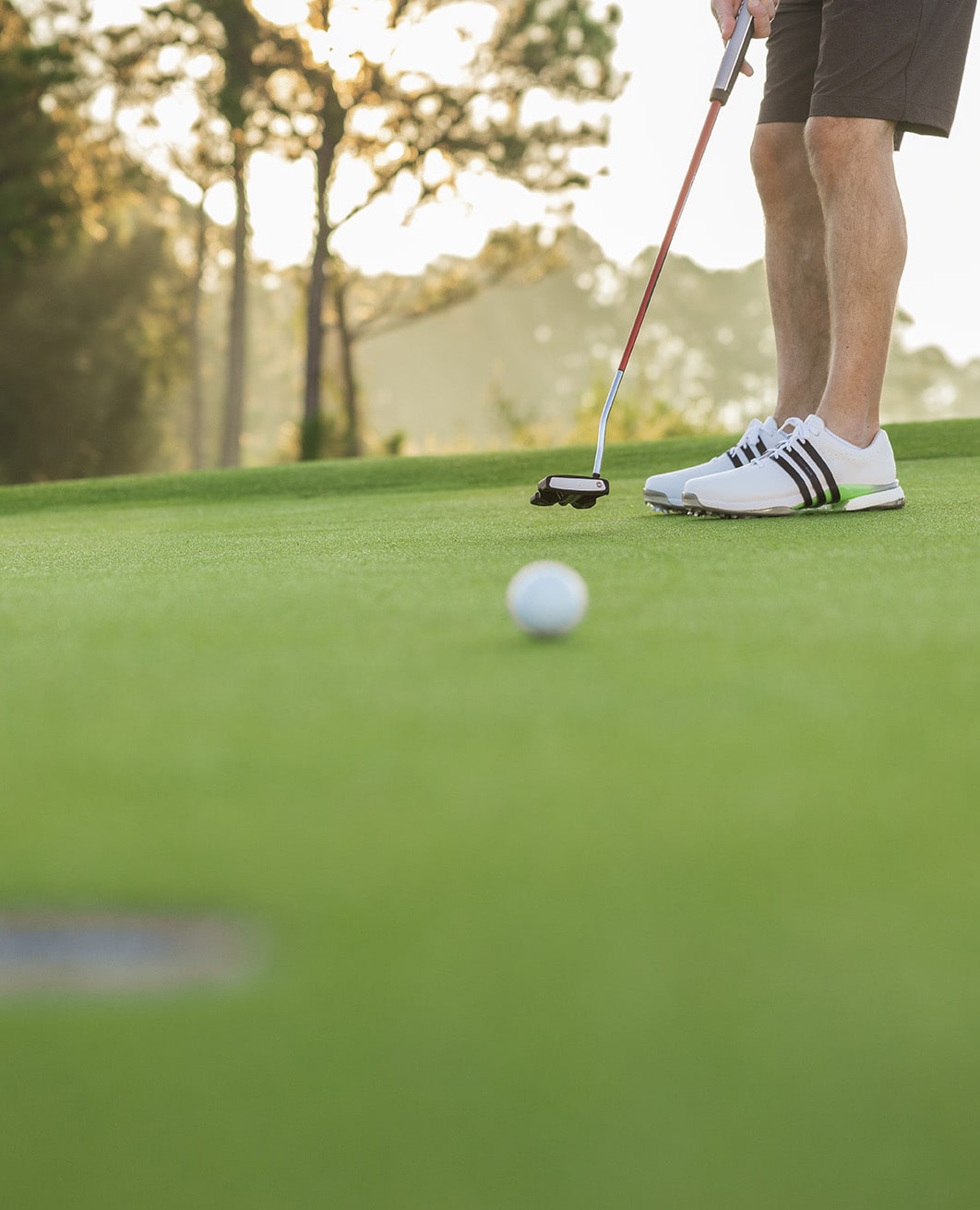 Golf 2024 Spring Summer image