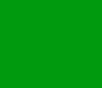 A solid, vibrant green background fills the entire frame.