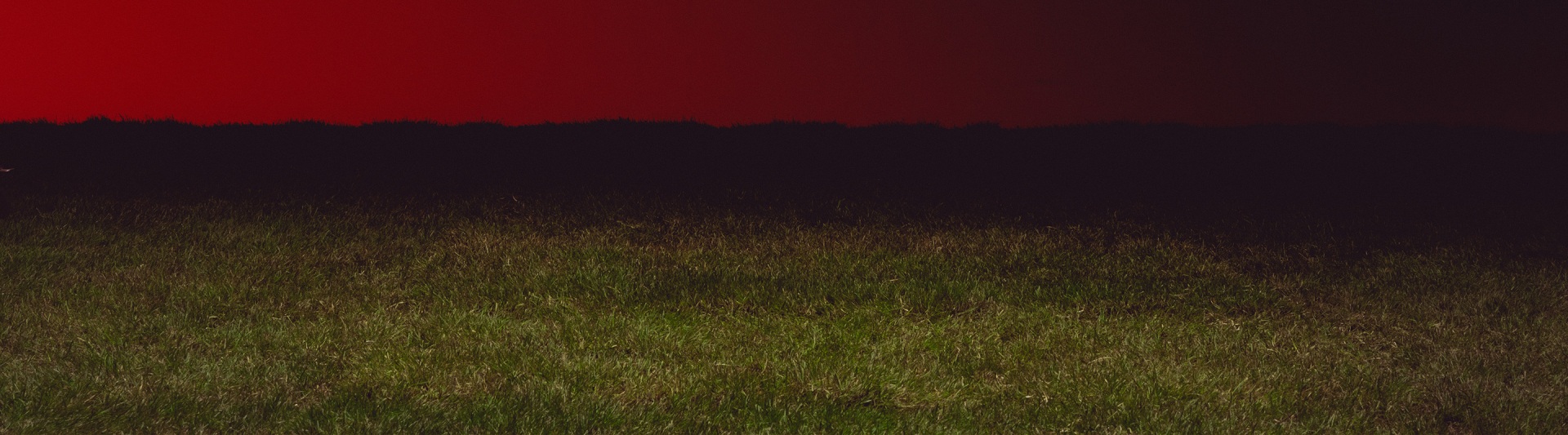 Plate of rugby grass field with red back drop