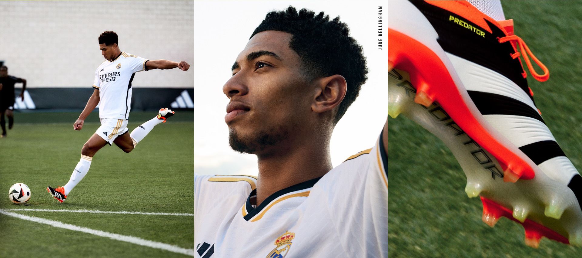 Nashville Predators Launch Football 2024 Spring Summer Predator Statement Statement image