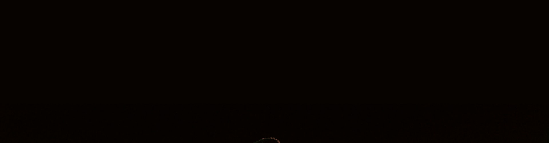 アンソニー・エドワーズが薄暗いコートでドリブルを決めるとき、バックヤードのオレンジのカラーリングに輝くのは、アディダスのアンソニー・エドワーズ 2 バスケットボールシューズ。